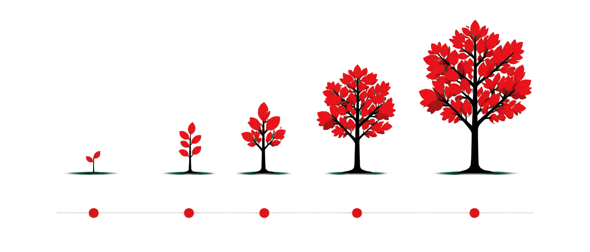 Five stages of growth — from seed to full tree